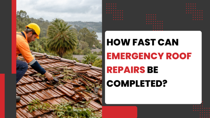 Roof Repairs