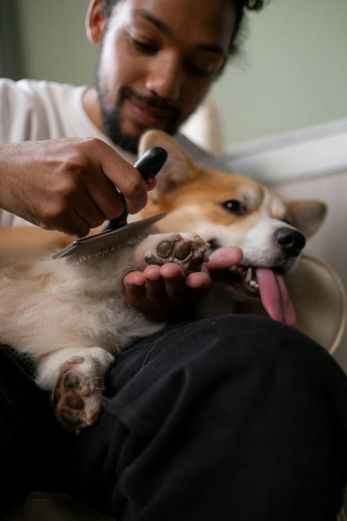 Grooming