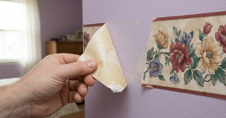 Step-by-Step: How to Remove Wallpaper Border (Universal Method)